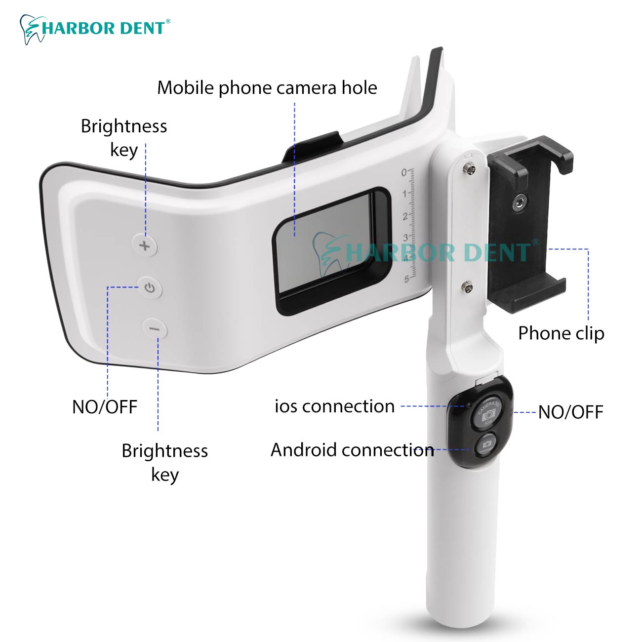 ชุดไฟแฟลชคู่สำหรับถ่ายภาพทางทั - Good Lighting In Photography บทวิจารณ์และราคา