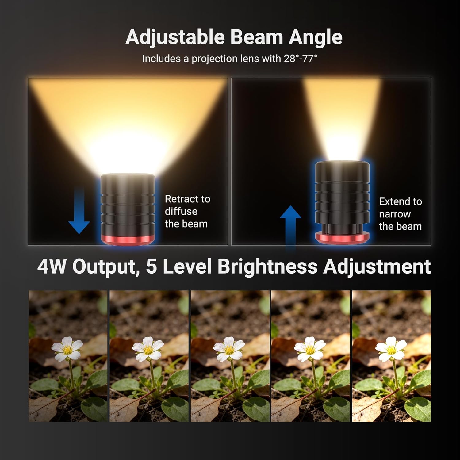 NEEWER BASICS ชุด 2 ชิ้น ML01  - Photography Lighting Basics บทวิจารณ์และราคา